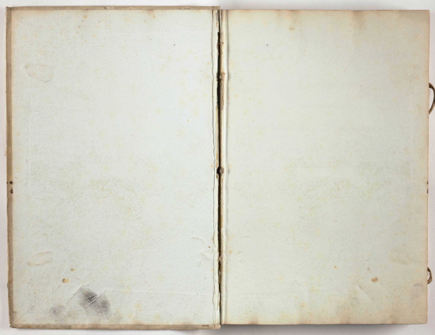 A l'endroit du registre : correspondance générale (2 janvier 1806-31 décembre 1807).
A l'envers du registre : correspondance avec le ministère des Relations extérieures (6 janvier 1806-31 décembre 1807).