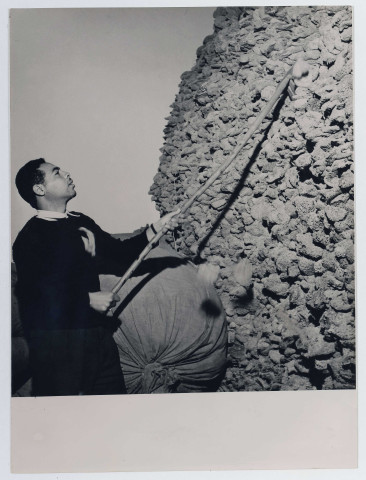 Transformation des éponges