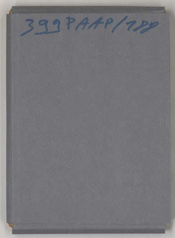 Télégrammes quotidiens au départ de Beyrouth ou d'Aley signés du général Gouraud ou, en son absence, de Robert de Caix au général Dufieux et délégués à Adana.