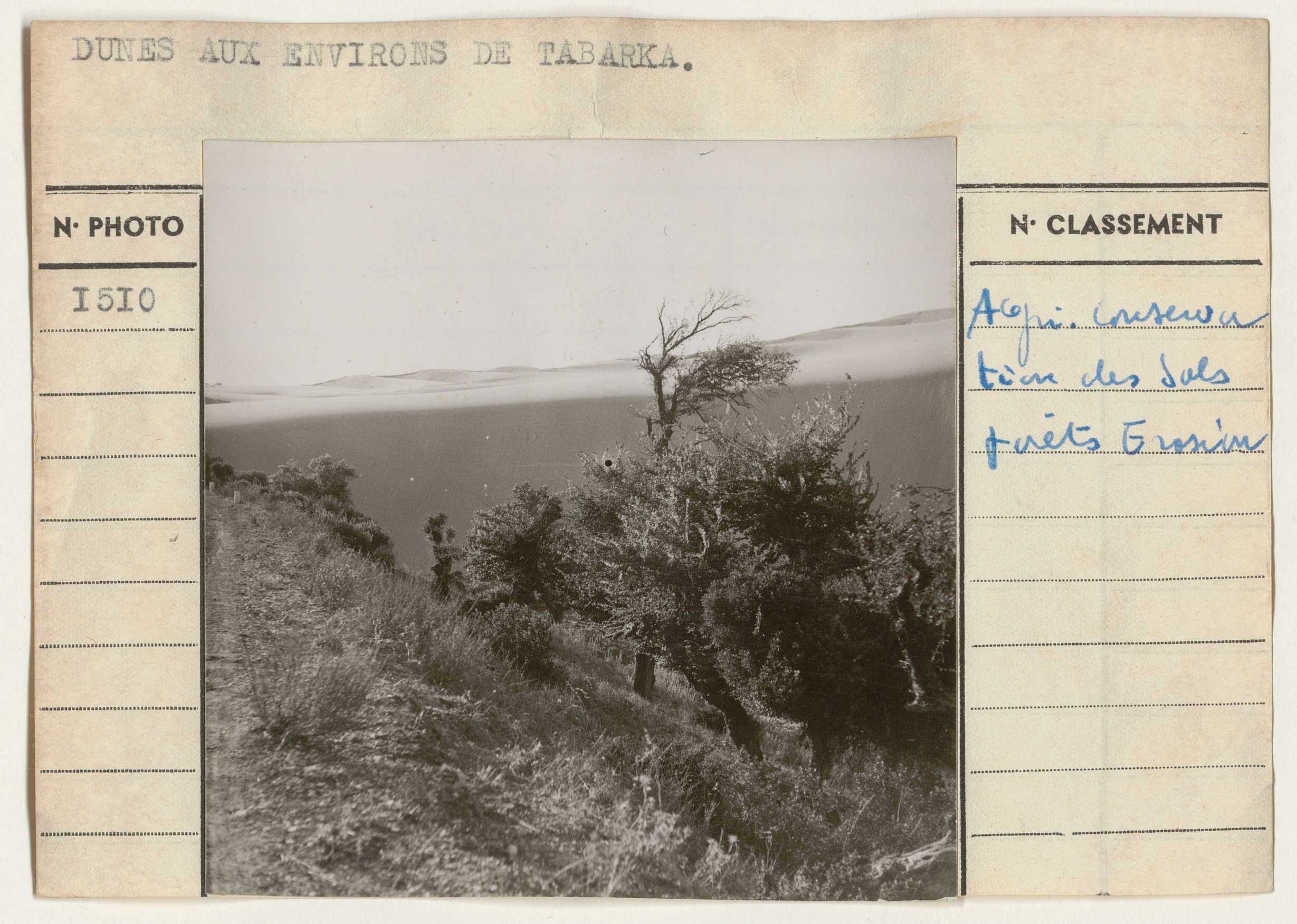 Agriculture: conservation des sols et forêts, érosion.