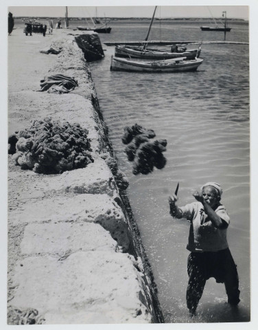 Transformation des éponges