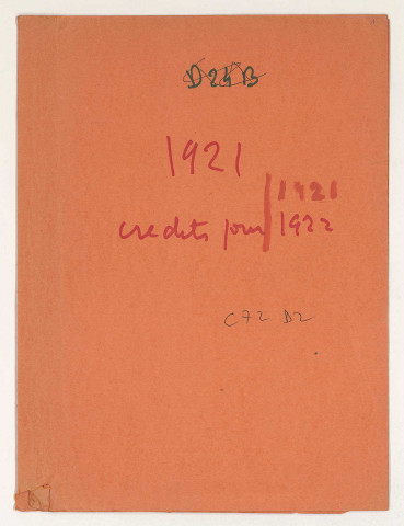 Défense du budget de l'Armée du Levant à Paris pour l'exercice 1921.