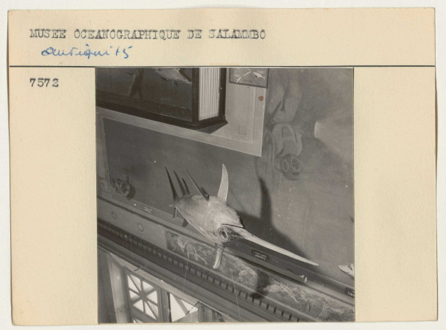 Ruines, domaines et antiquités.