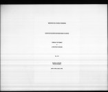 Société de l'Union française : correspondance (janvier 1910-octobre 1918).