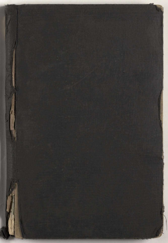 209SUP/893 - " Direction des Musées de France, Service Rosenberg, Rose Valland "