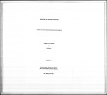 Minutier de la correspondance adressée au Ministère et à l'ambassade (mai 1850-janvier 1851).