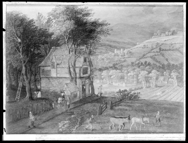 209SUP/951 - Collection Hermann Goering (plaques de verre) : de RM4 à RM1341