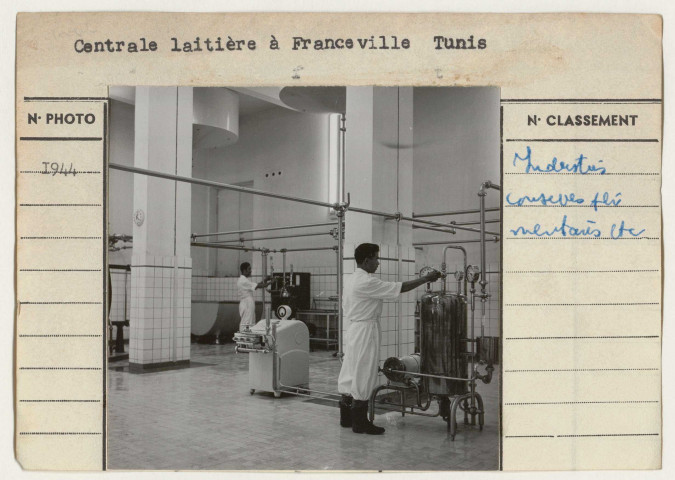 Industries de conserves alimentaires, jus de fruits, brasseries, laiteries frigorifiques.