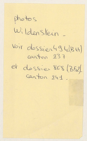 209SUP/242 - Dossiers B53 - Spoliation Wildenstein