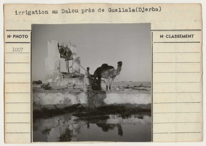 Travaux publics : hydraulique agricole.