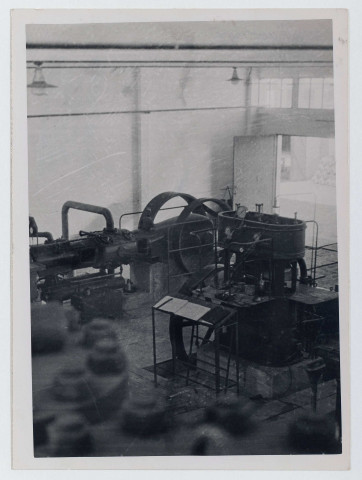 Société frigorifique de Tunis/sel