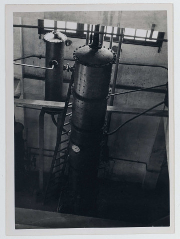 Société frigorifique de Tunis/sel