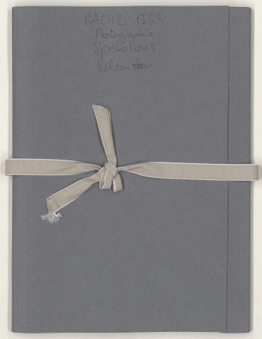 209SUP/242 - Dossiers B53 - Spoliation Wildenstein