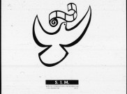 Constantinople (1875-1879)