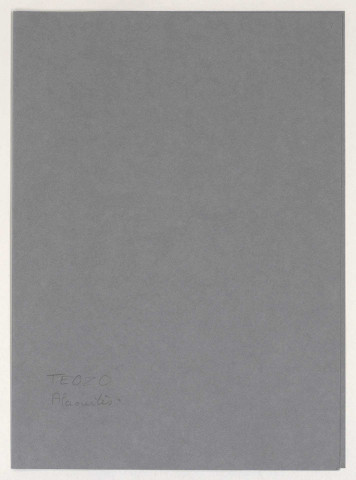 Territoires Ennemis Occupés de la zone Ouest, territoire des Alaouites.