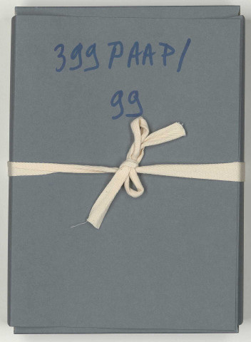 Fonctionnement des services du protectorat, affaires politiques.