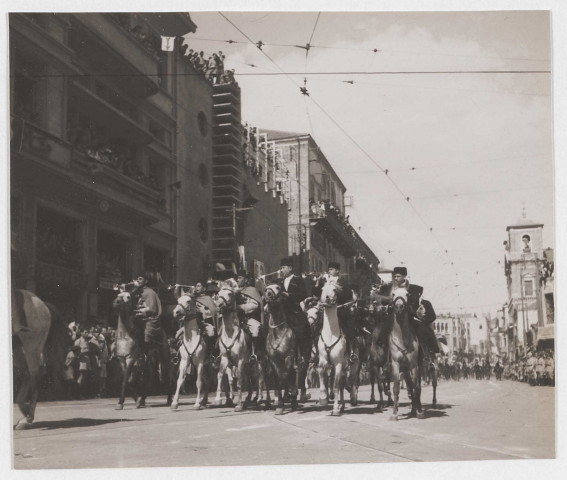 Cavalerie et méharistes