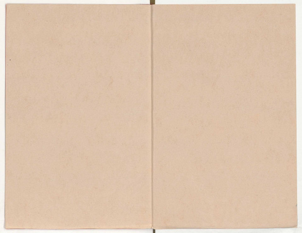 Conférence de Paris. Réunions franco-belges.