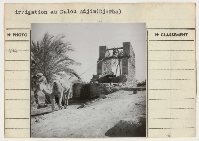 Travaux publics : hydraulique agricole.