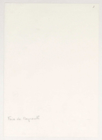 Questions d'ordre économique, mise en valeur et développement des territoires sous mandat Français.