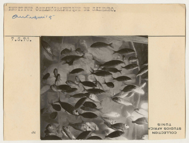 Ruines, domaines et antiquités.