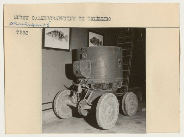 Ruines, domaines et antiquités.