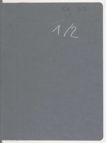 209SUP/917 - Zone américaine de Berlin et collections d'art des Pays-Bas