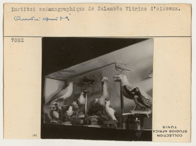 Ruines, domaines et antiquités.