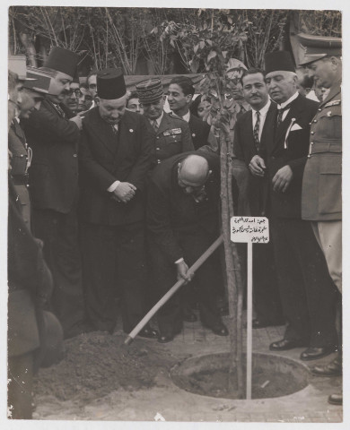 Fête de l'Arbre à Beyrouth