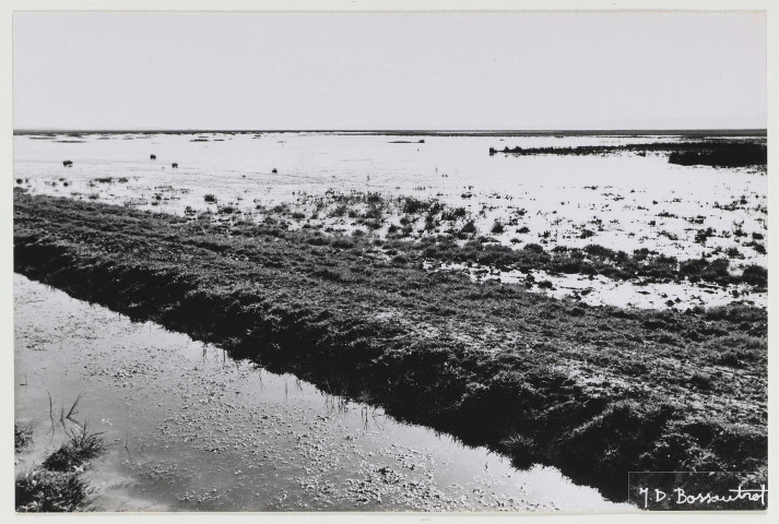 Irrigation/ Assainissement