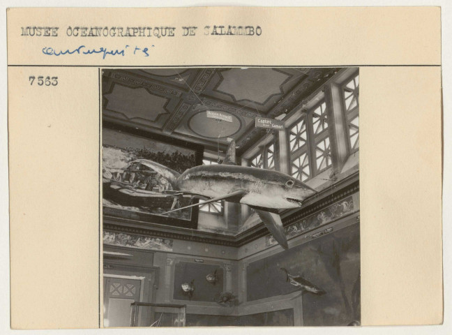 Ruines, domaines et antiquités.