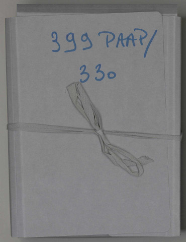 Préparatifs, programme et déroulement des commémorations.
