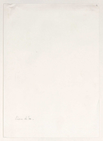 « Livre d'or » d'Henri Gouraud avec signatures et dédicaces, du 26 novembre 1918 au 13 octobre 1919 [relié couverture de cuir] et menus dont un specimen vierge aux armes de la République Française, illustré par Hansi, imprimé à Colmar (22 décembre 1918-13 octobre 1919).