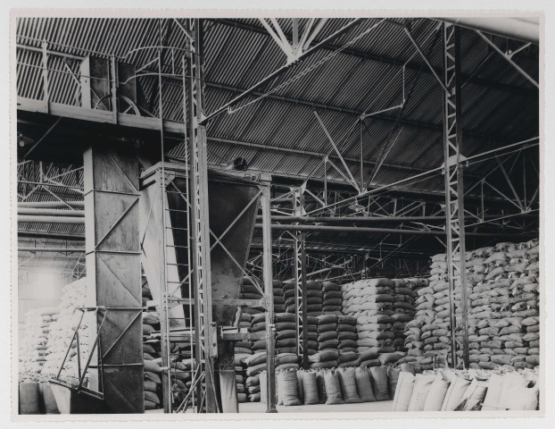 Ressources minières et pétrolières