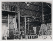 Ressources minières et pétrolières